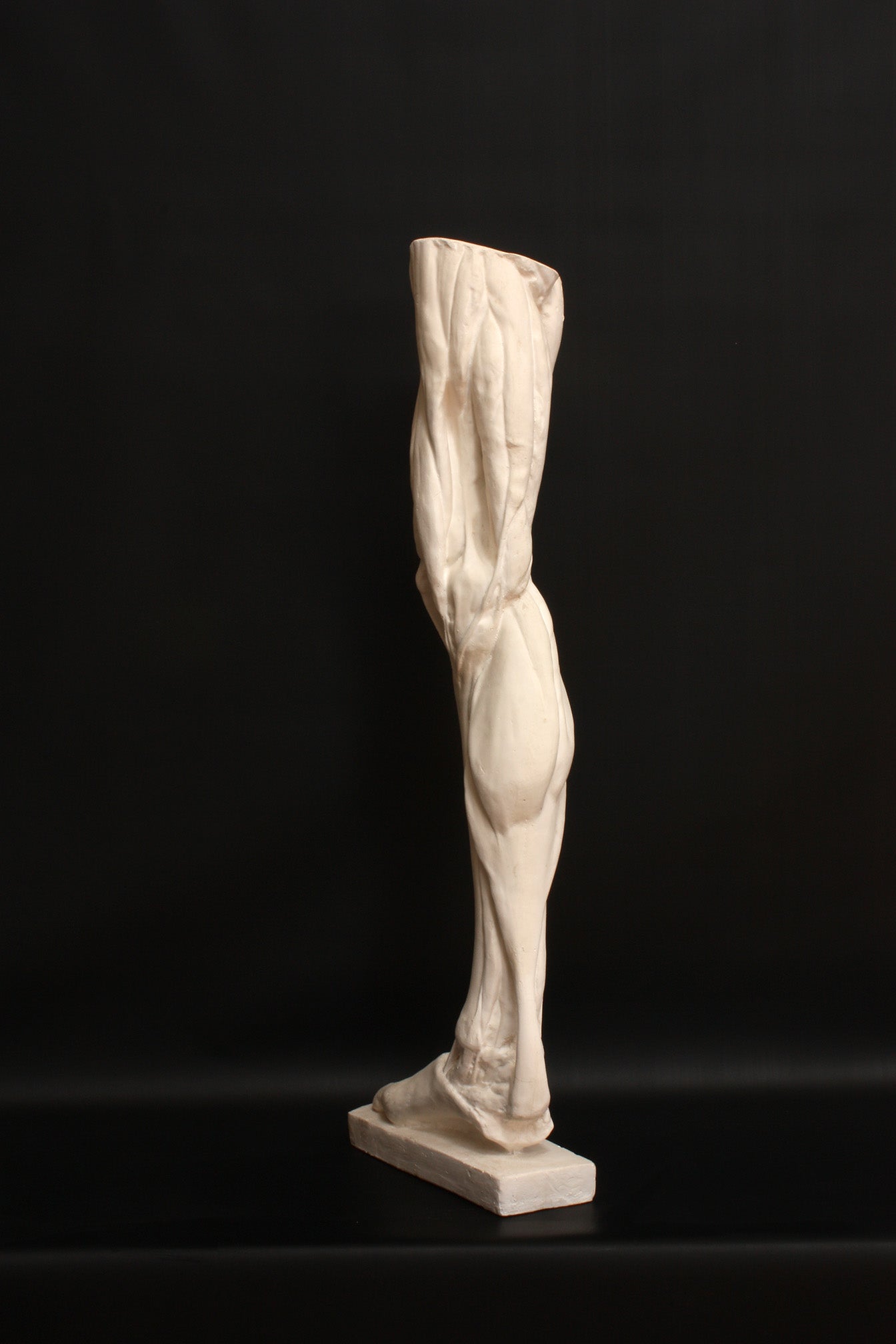 Photo of a sculpture of a leg on a black background
