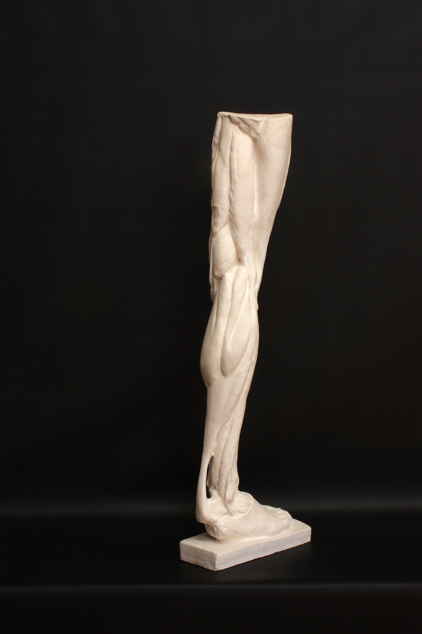 Photo of a sculpture of a leg on a black background