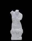 Photo of a sculpture of a ladies torso on a black background 