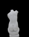 Photo of a sculpture of a ladies torso on a black background 
