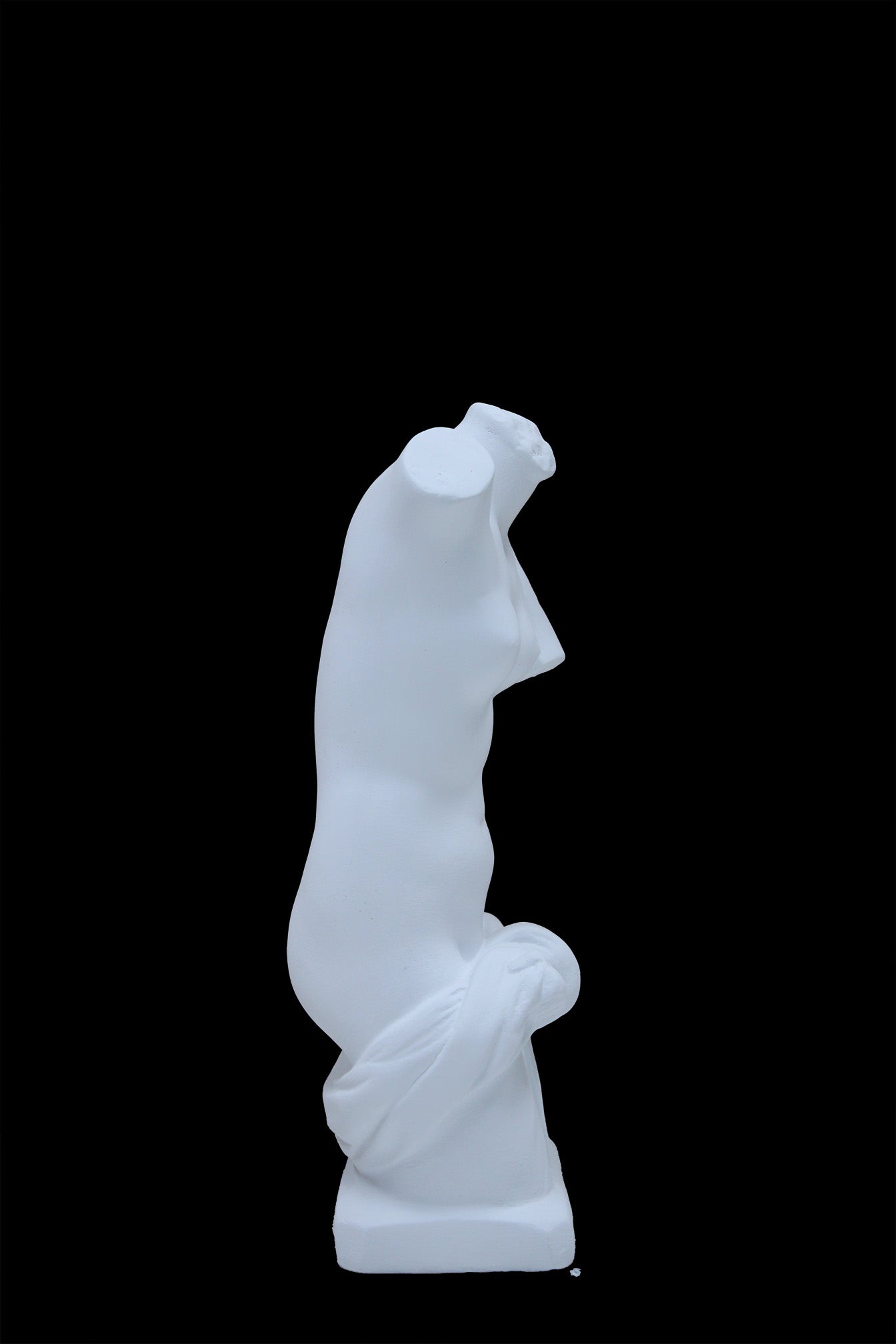 Photo of a sculpture of a ladies torso on a black background 
