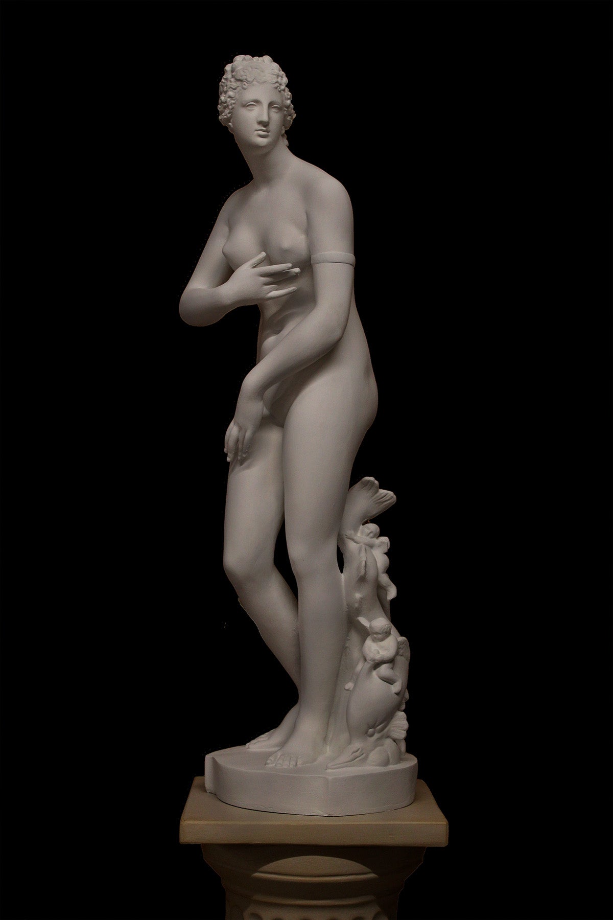 photo of plaster cast sculpture of Venus standing nude with two putti riding a dolphin at her feet on black background