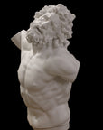 photo with black background of plaster cast of sculpted male torso and head with curly hair and beard, namely Laocoon