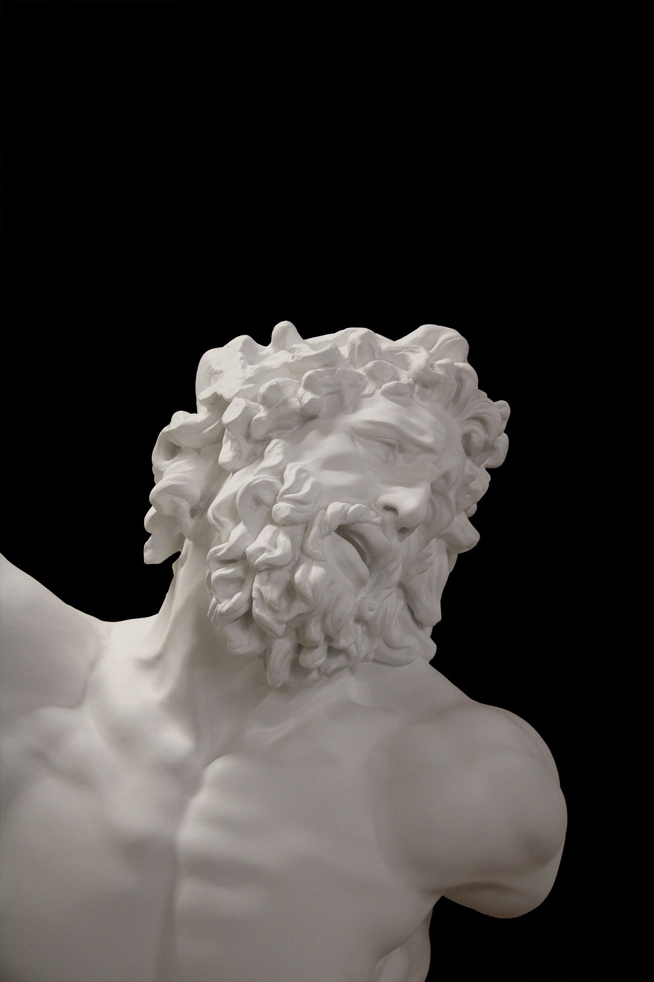 photo with black background of plaster cast of sculpted male torso and head with curly hair and beard, namely Laocoon