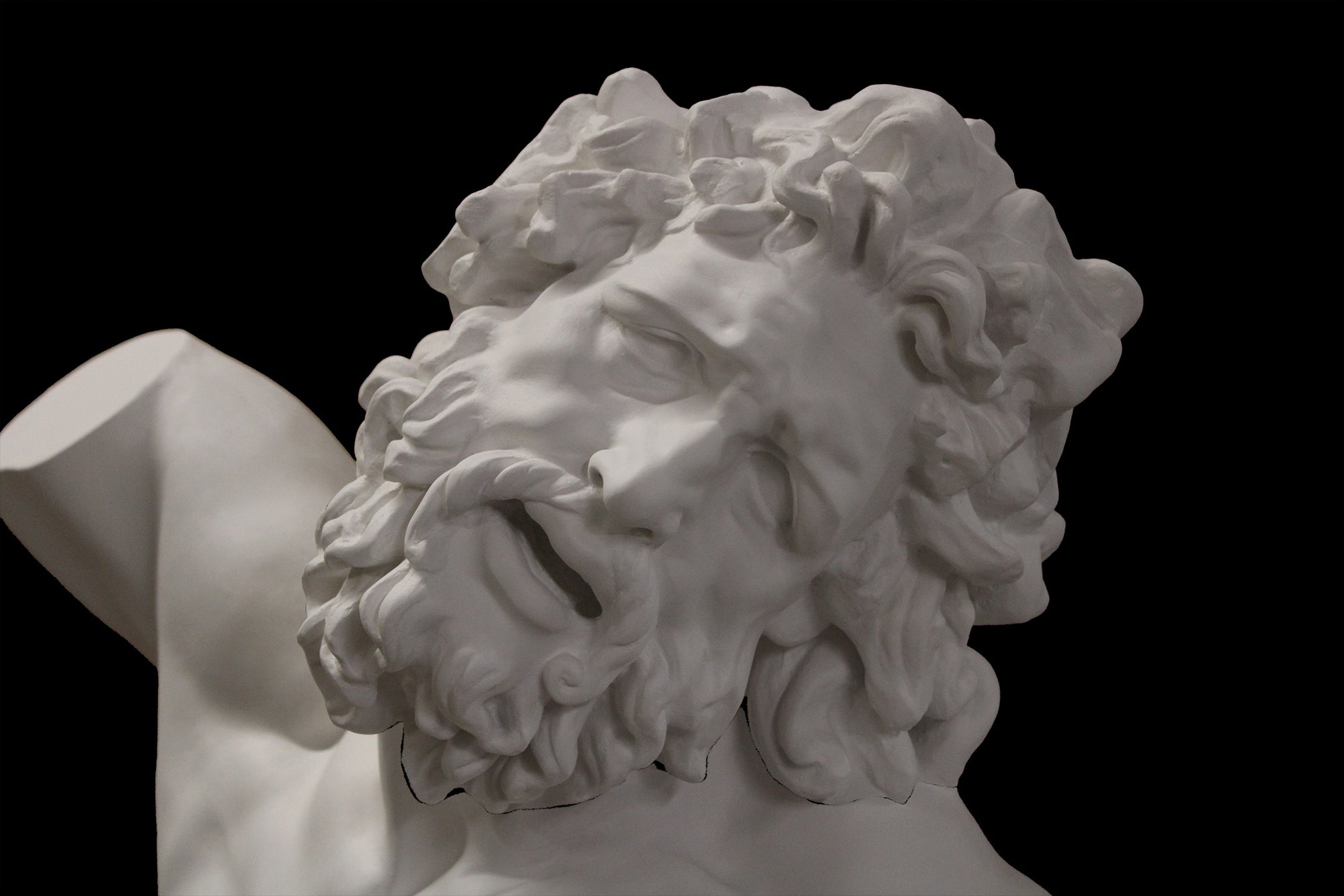photo with black background of plaster cast of sculpted male torso and head with curly hair and beard, namely Laocoon