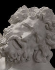 photo with black background of plaster cast of sculpted male torso and head with curly hair and beard, namely Laocoon