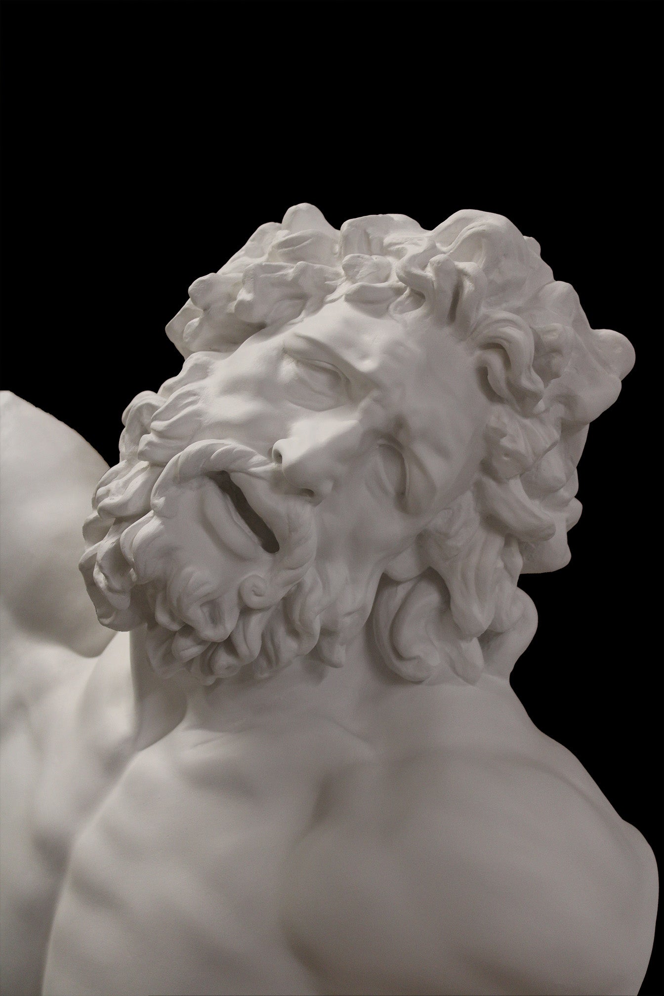photo with black background of plaster cast of sculpted male torso and head with curly hair and beard, namely Laocoon