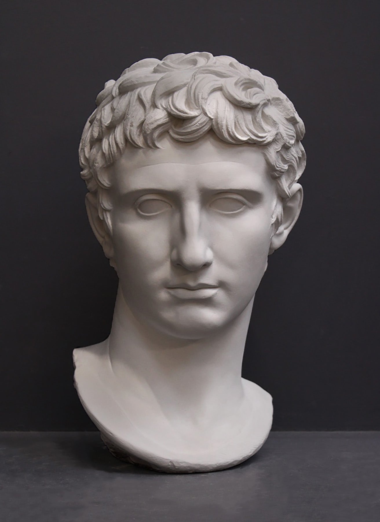 image of a plaster statue of a bust of augustus caesar on a gray background