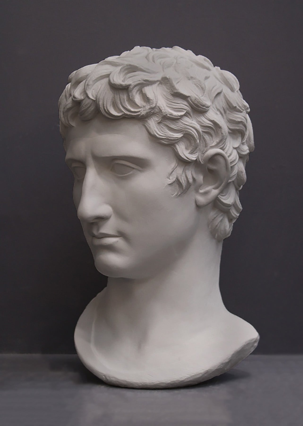image of a plaster statue of a bust of augustus caesar on a gray background