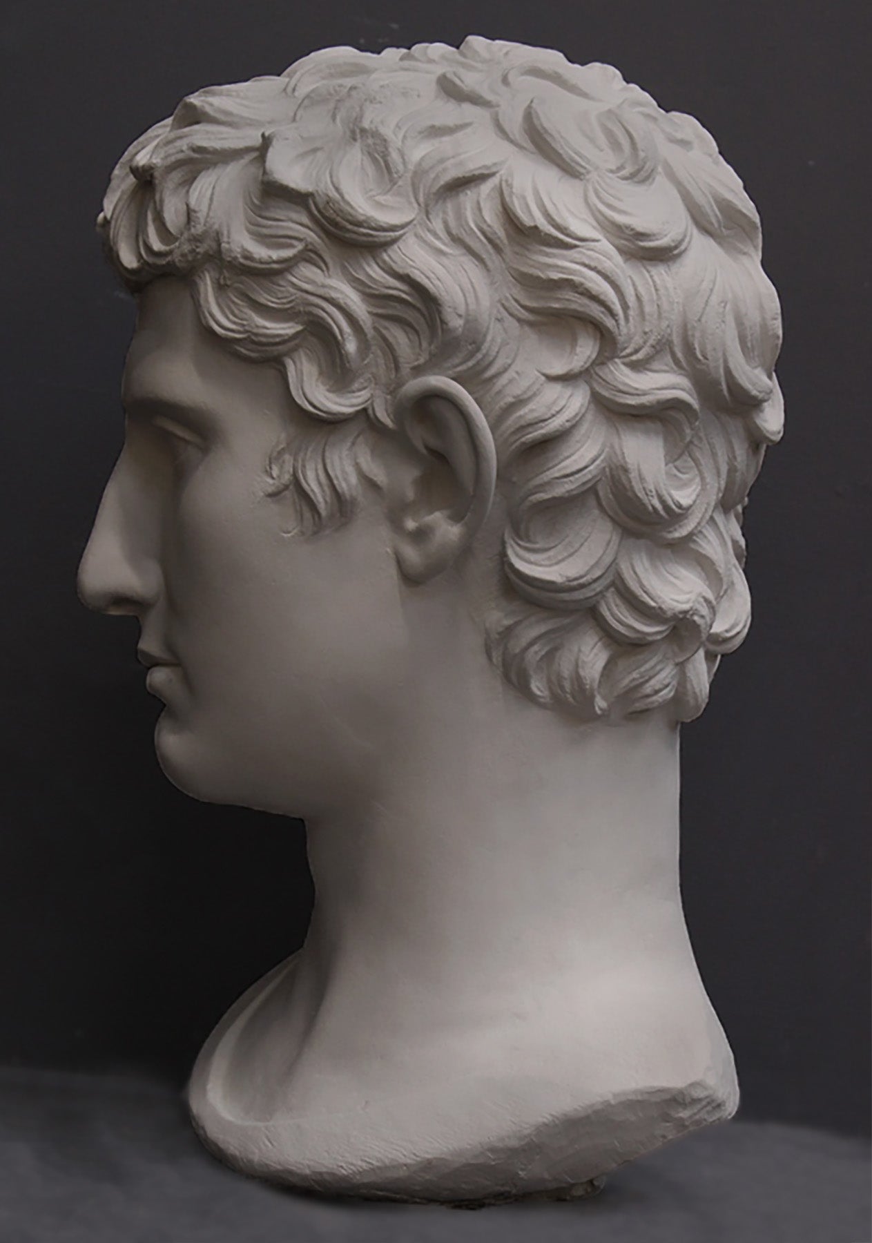 image of a plaster statue of a bust of augustus caesar on a gray background