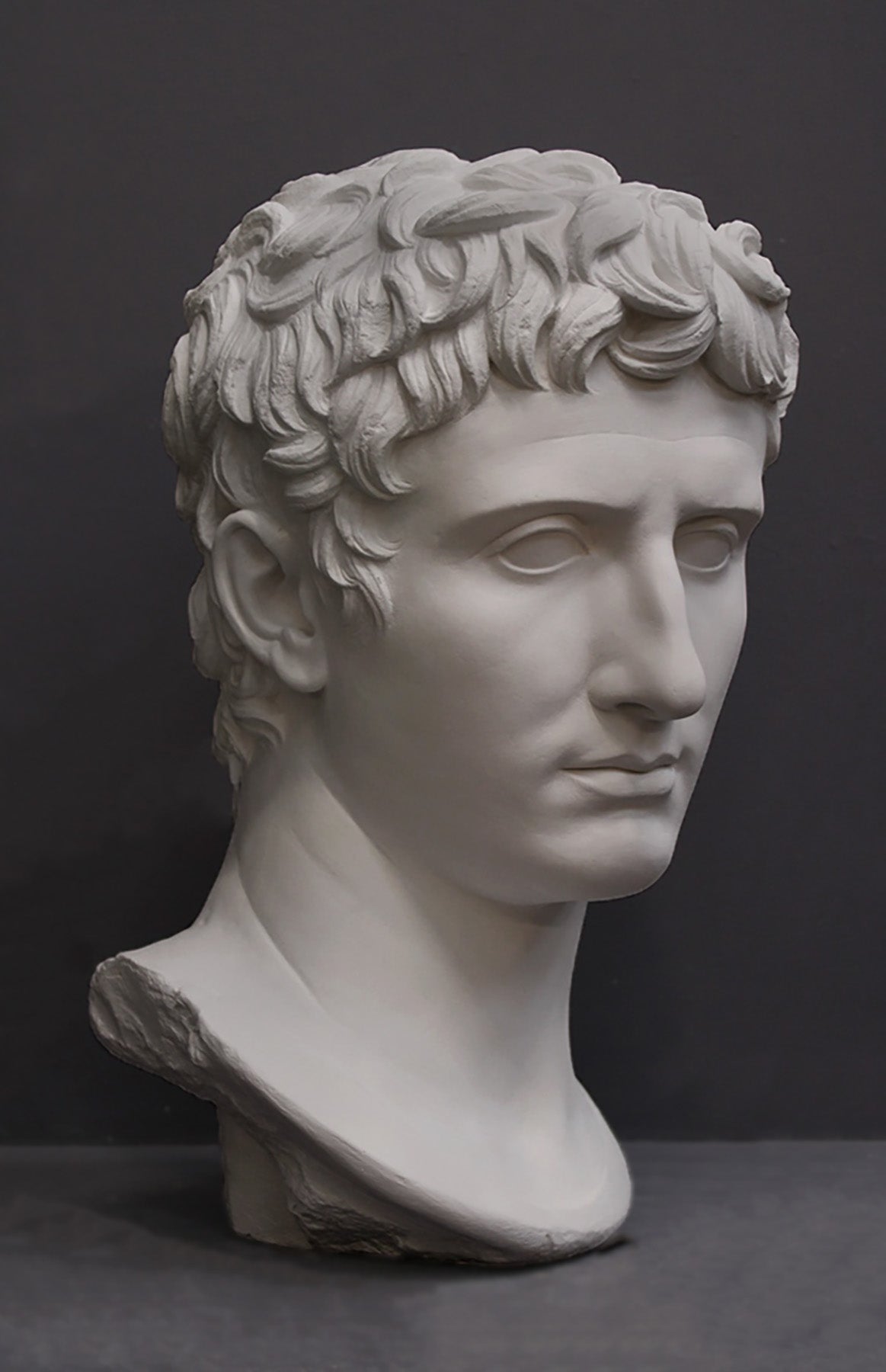 image of a plaster statue of a bust of augustus caesar on a gray background