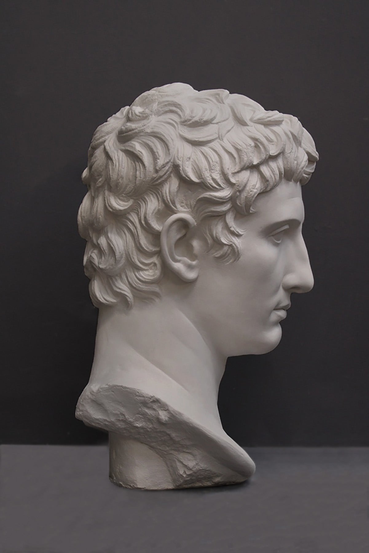image of a plaster statue of a bust of augustus caesar on a gray background