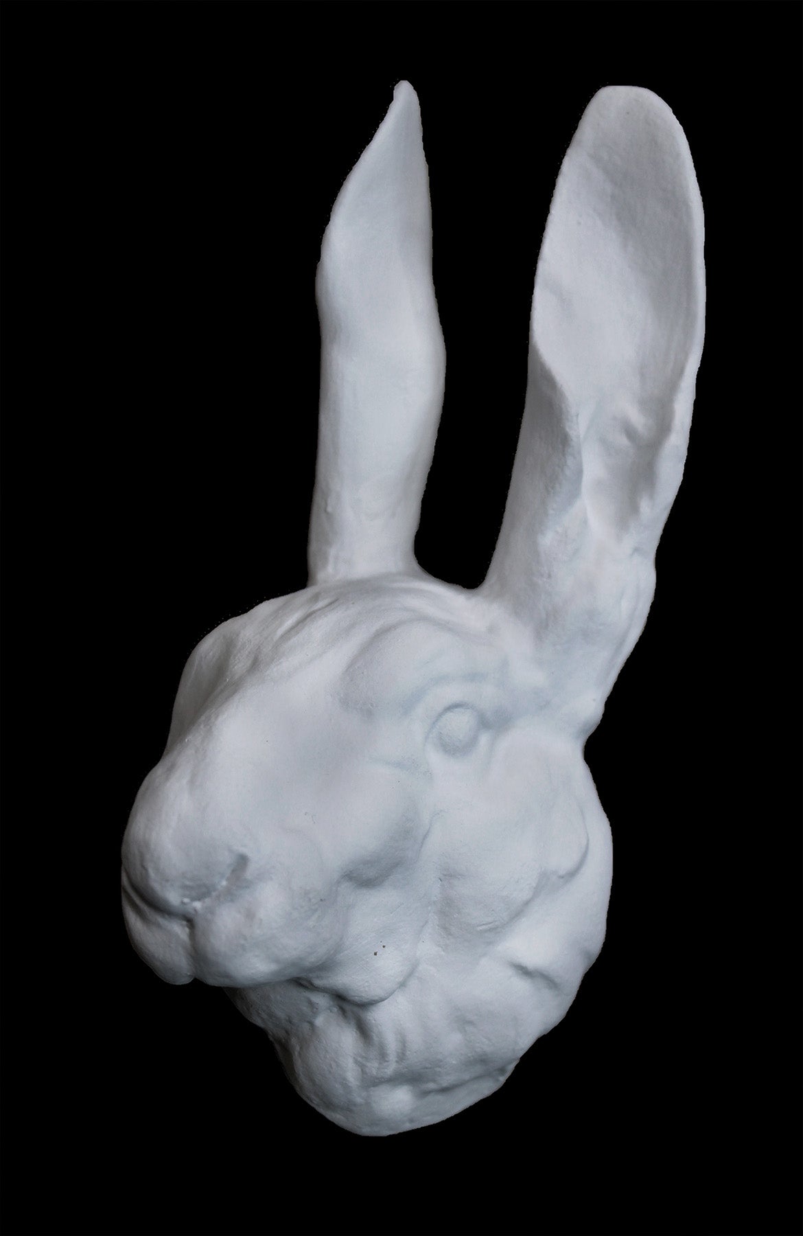 image of a plaster statue of a bust of a rabbit on a black background