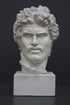 photo of white plaster cast bust of Gaul depicted with mustache and rope around neck atop white base on gray background