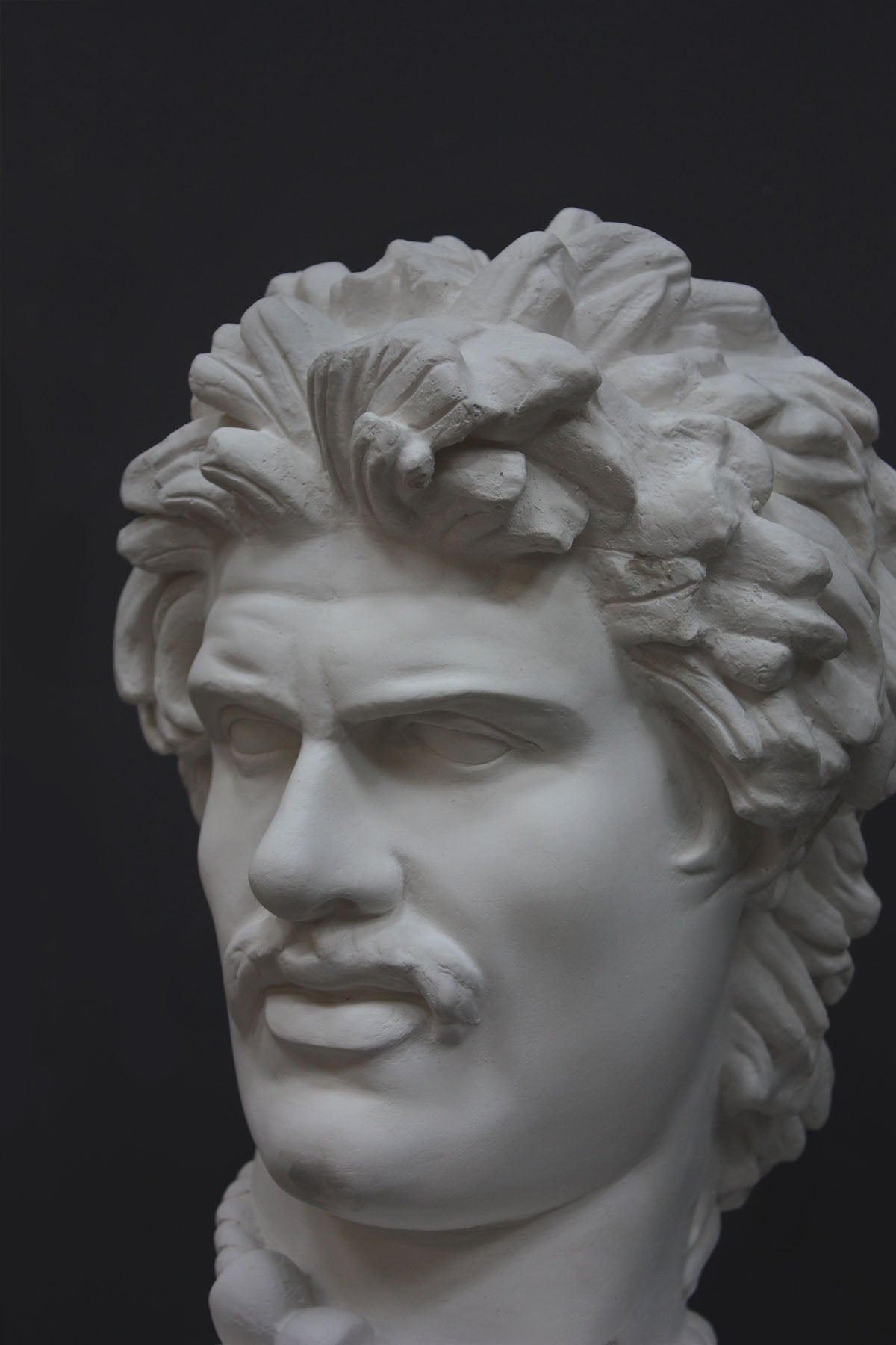 detail photo of white plaster cast bust of Gaul depicted with mustache and rope around neck atop white base on gray background