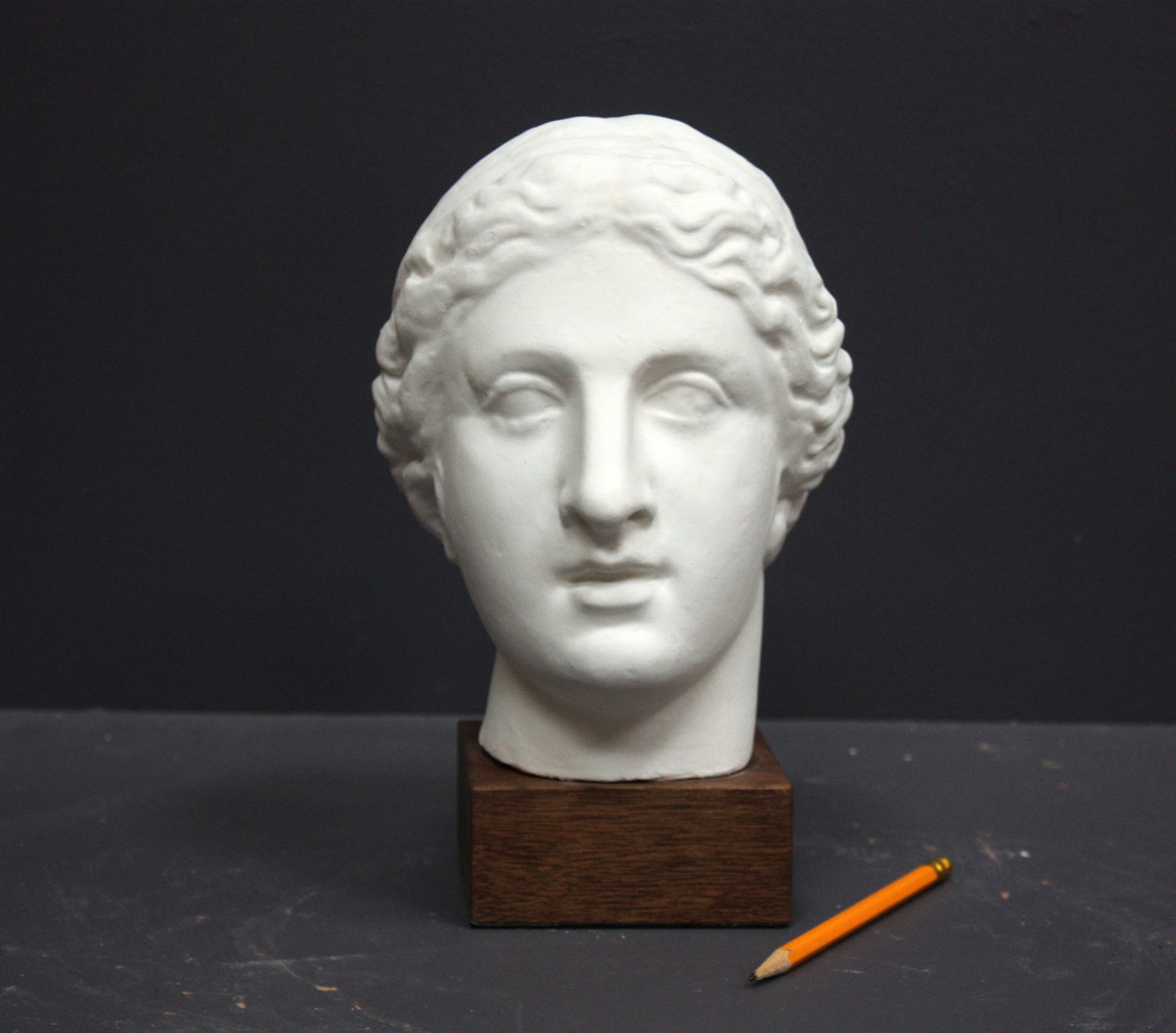 Photo of a sculpture of a female head on a gray background 