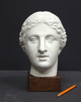 Photo of a sculpture of a female head on a gray background 