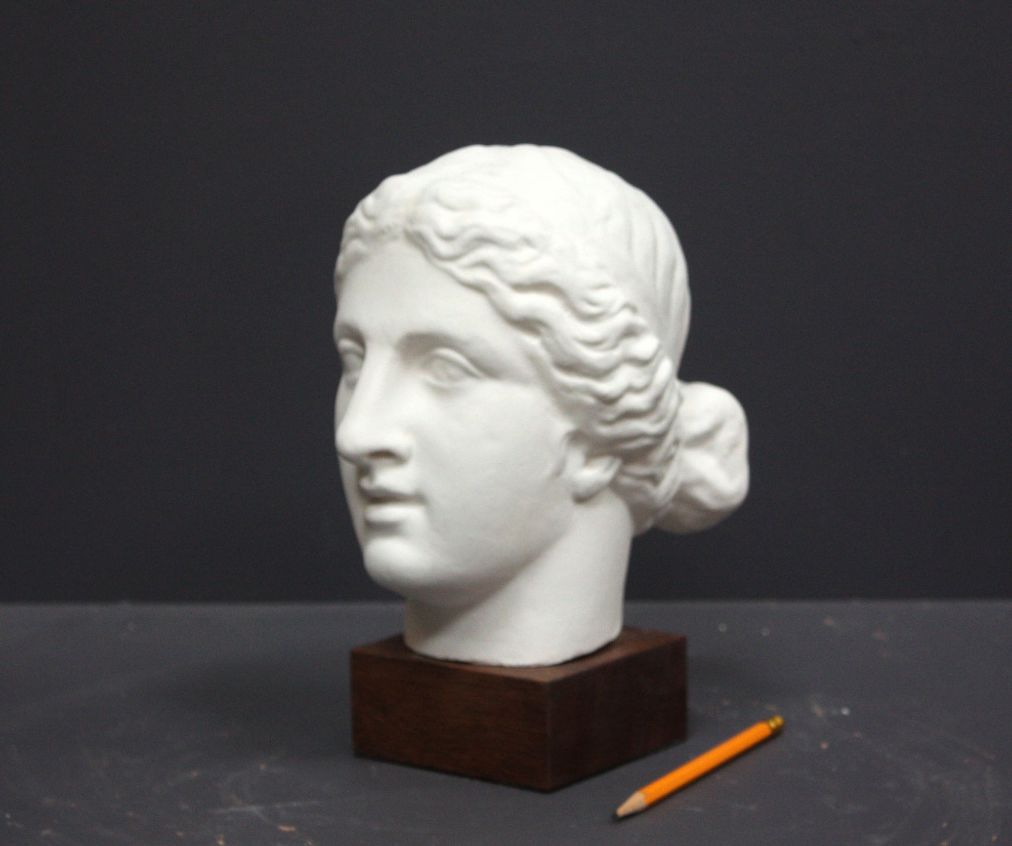 Photo of a sculpture of a female head on a gray background 