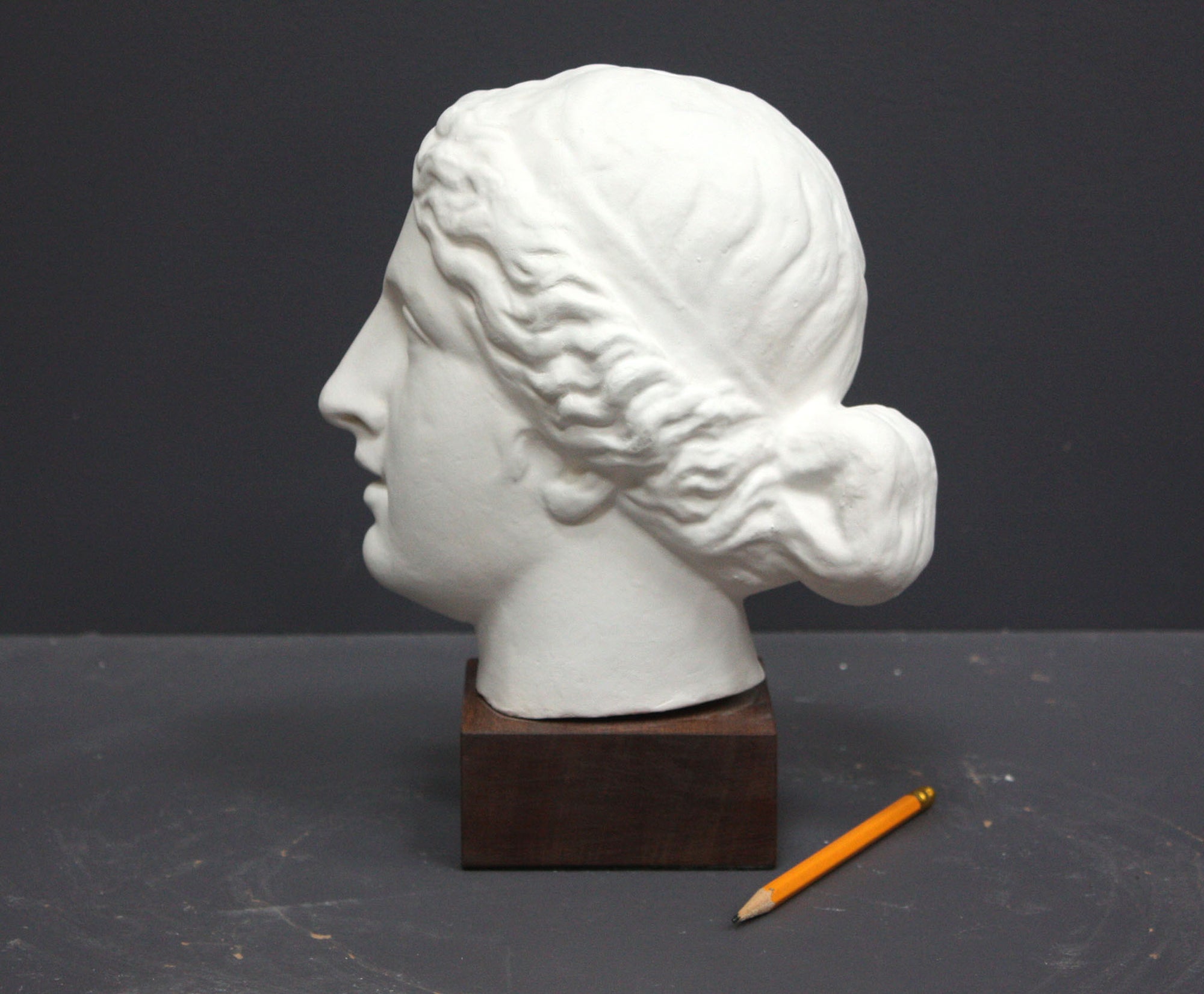 Photo of a sculpture of a female head on a gray background 