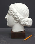 Photo of a sculpture of a female head on a gray background 