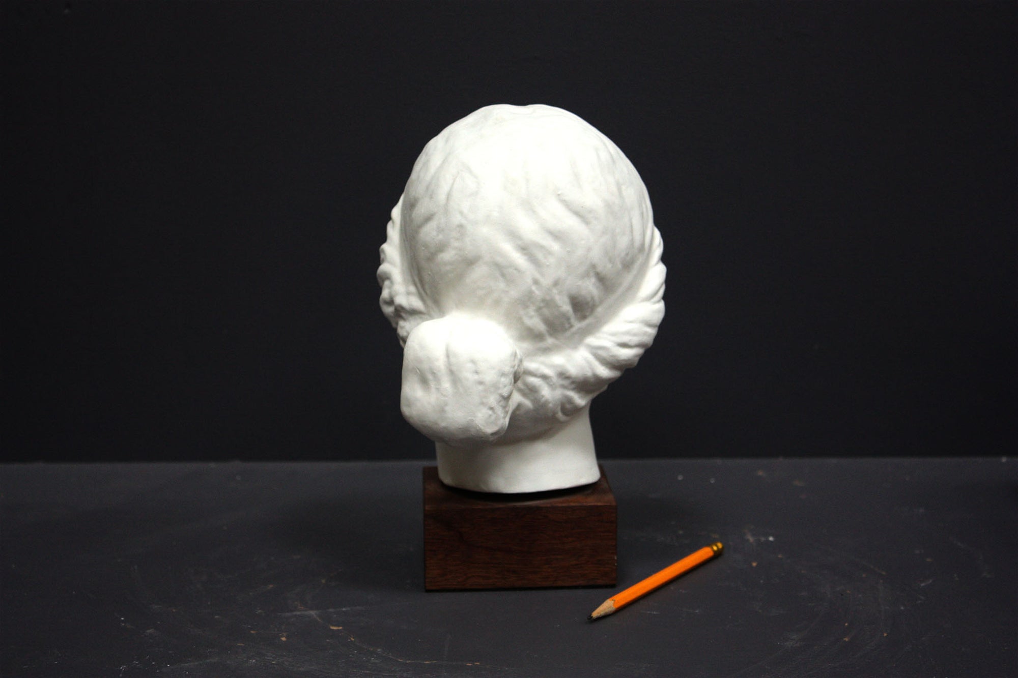 Photo of a sculpture of a female head on a gray background 