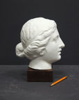 Photo of a sculpture of a female head on a gray background 