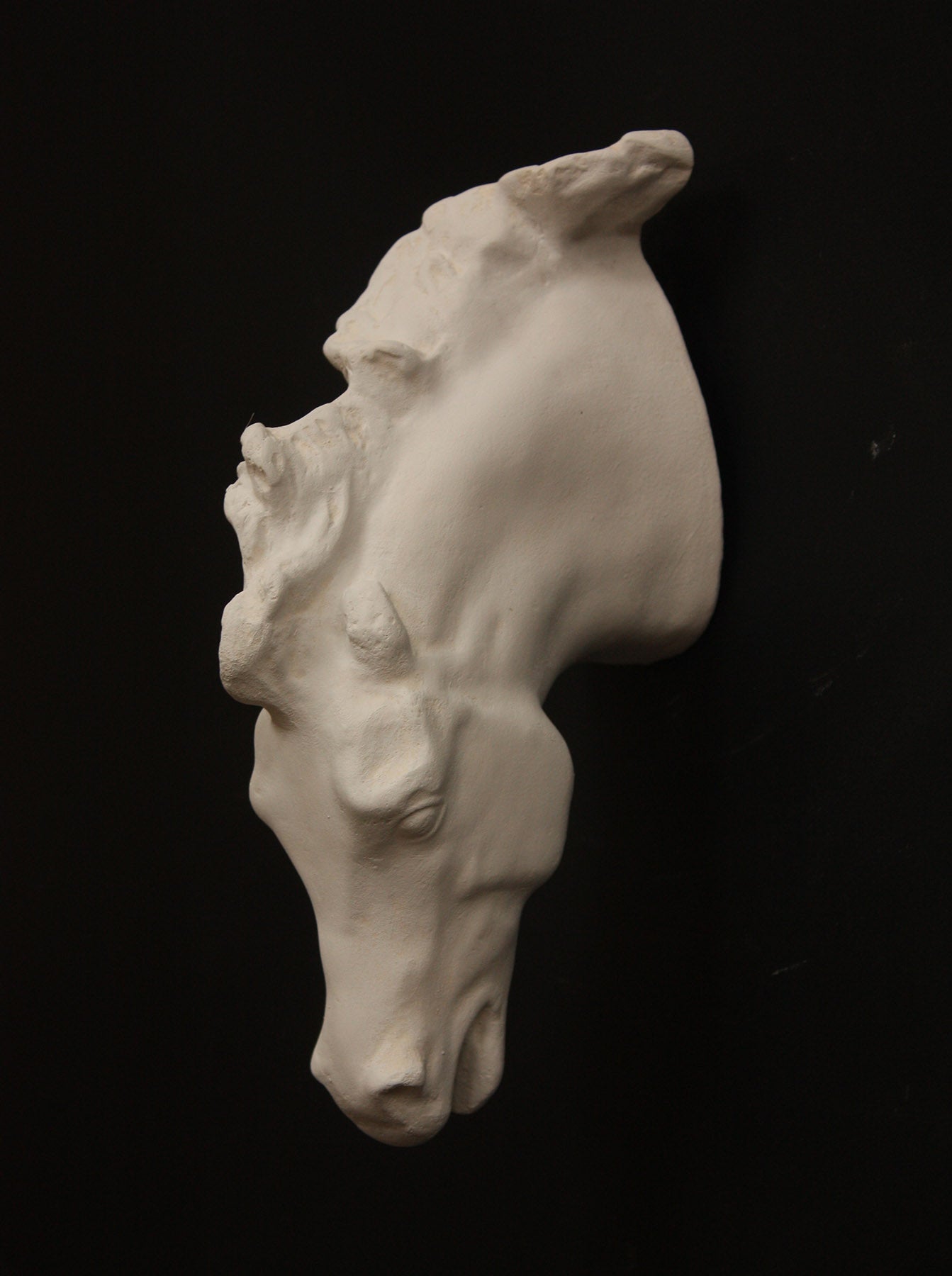 image of a plaster statue of a horse head on a gray background