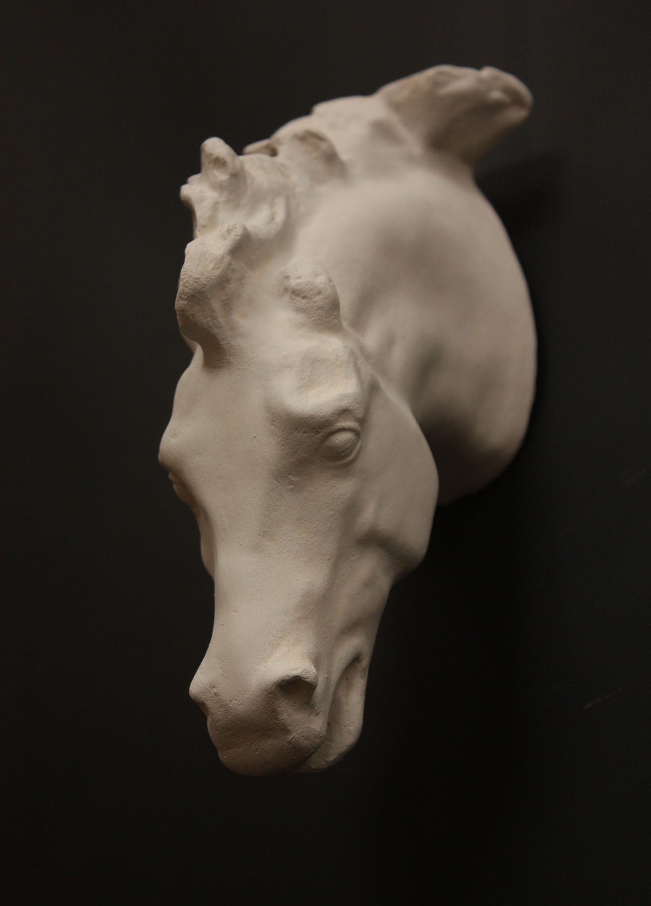 image of a plaster statue of a horse head on a gray background