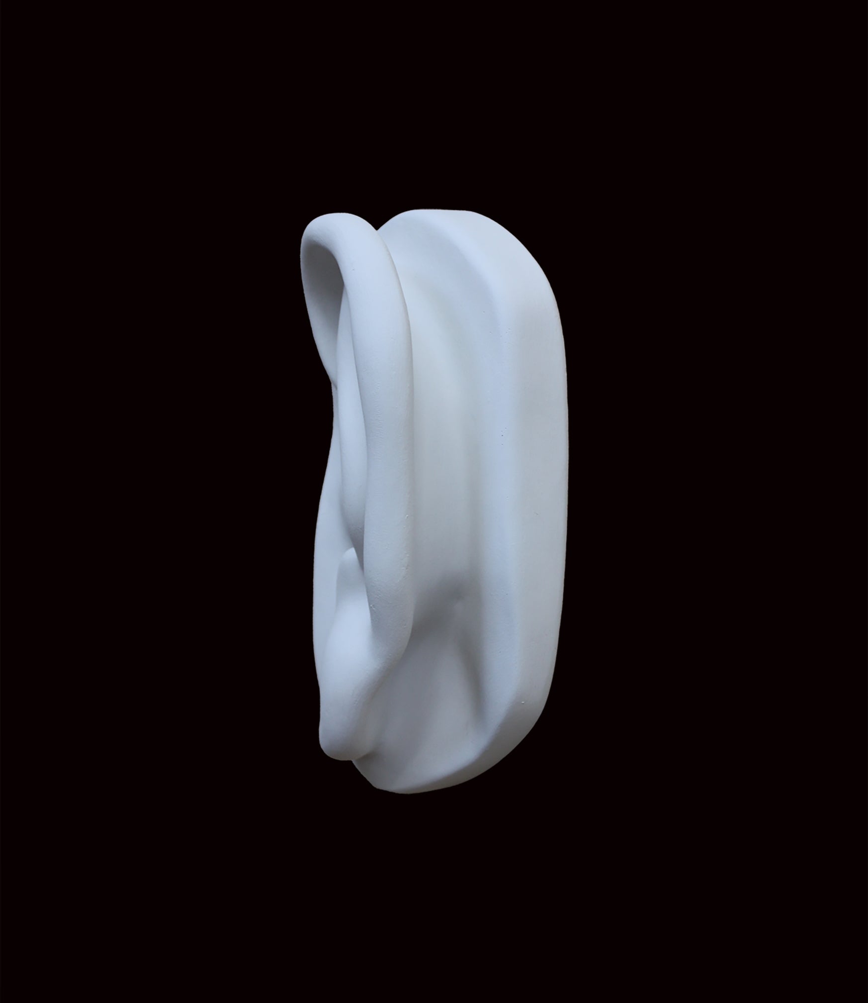 photo of cast sculpture drawing of left ear from Michelangelo's David statue against a black background