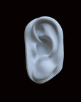 photo of cast sculpture drawing of left ear from Michelangelo's David statue against a black background