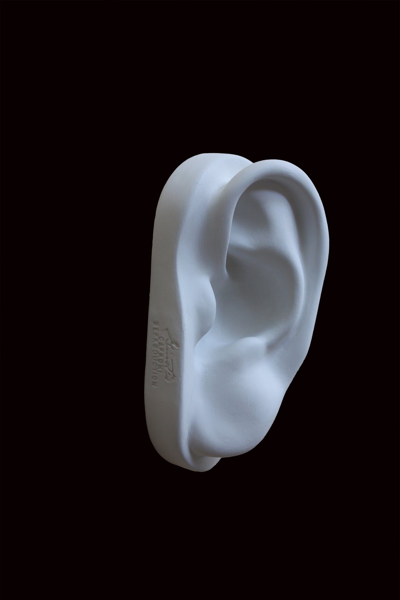 photo of cast sculpture drawing of left ear from Michelangelo's David statue against a black background