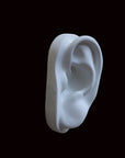 photo of cast sculpture drawing of left ear from Michelangelo's David statue against a black background