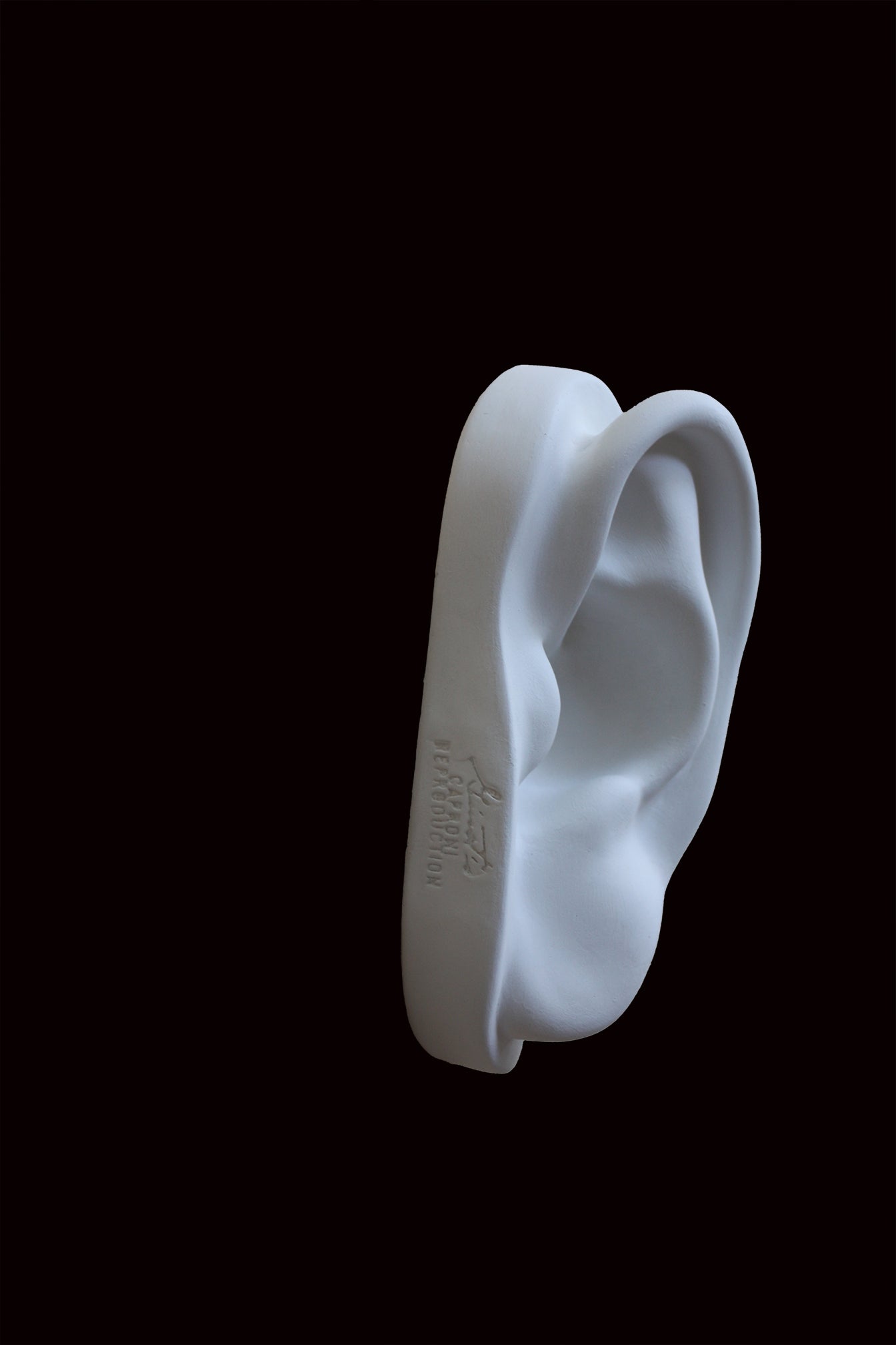 photo of cast sculpture drawing of left ear from Michelangelo's David statue against a black background