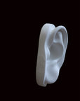 photo of cast sculpture drawing of left ear from Michelangelo's David statue against a black background