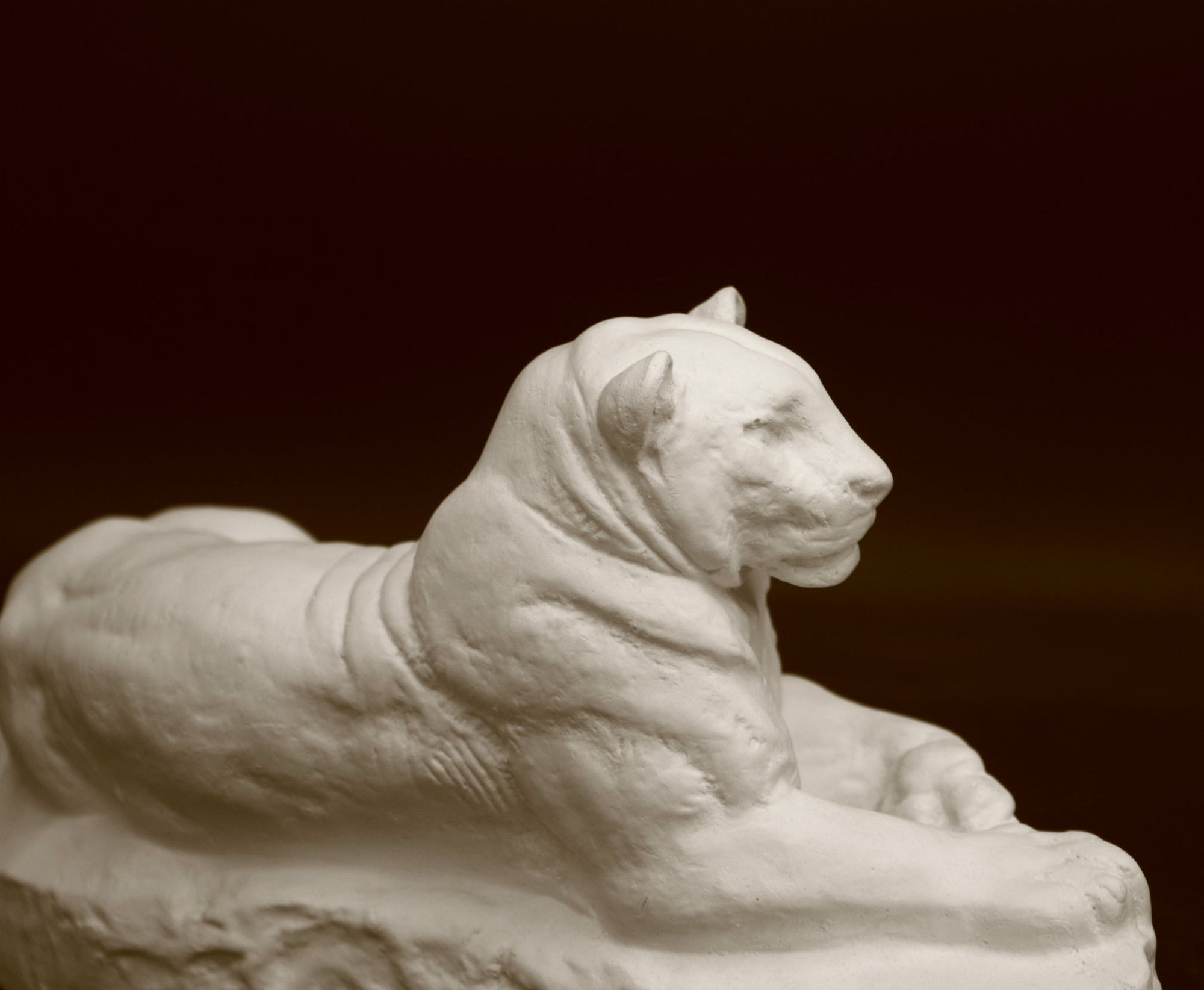 Photo of a sculpture of a Panther reclining on a black background