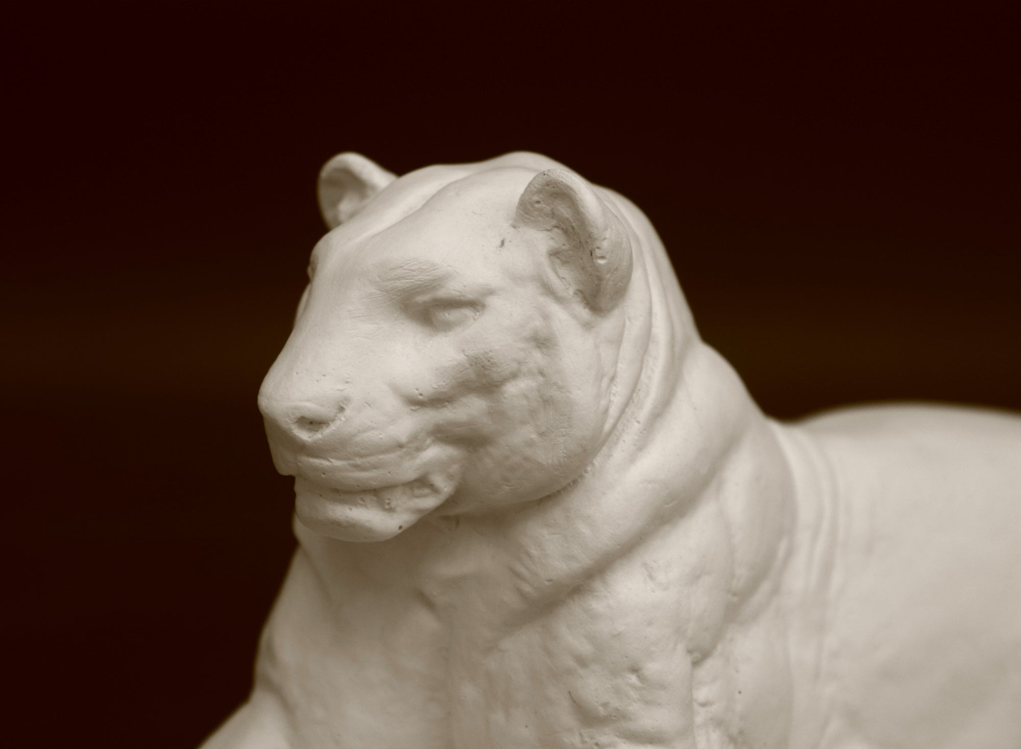 Photo of a sculpture of a Panther reclining on a black background