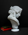 back view photo of plaster cast of sculpture bust of Ariadne or Bacchus with long, curly hair and head band next to books on a gray background