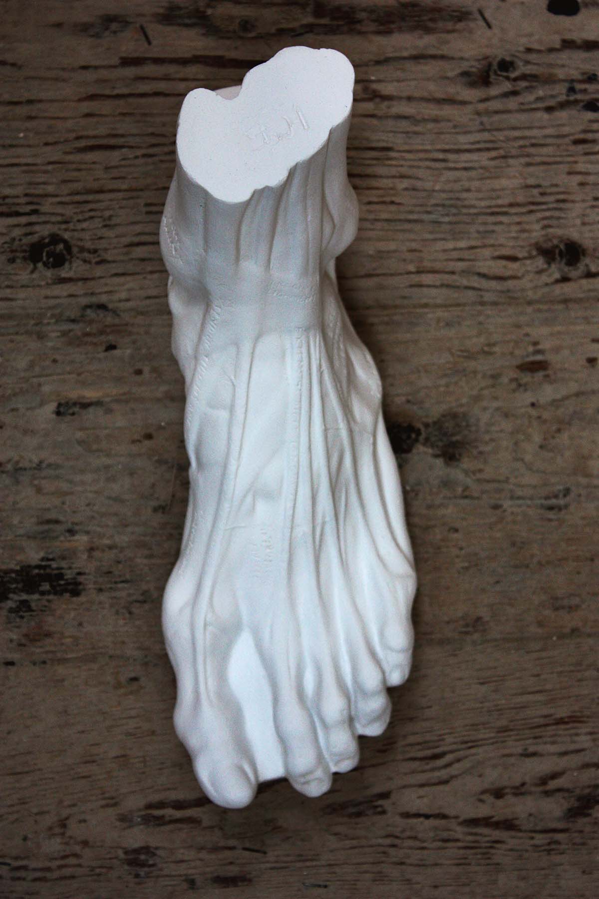 photo with wood background of plaster cast sculpture of flayed left foot on panel