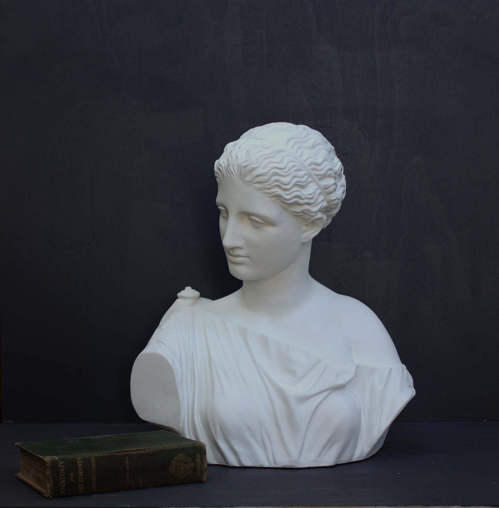 photo of plaster cast of ancient female bust, namely the goddess Diana, with a grey background