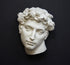  photo of white plaster cast mask of  sculpture of head, namely Giuliano de Medici, on a gray background