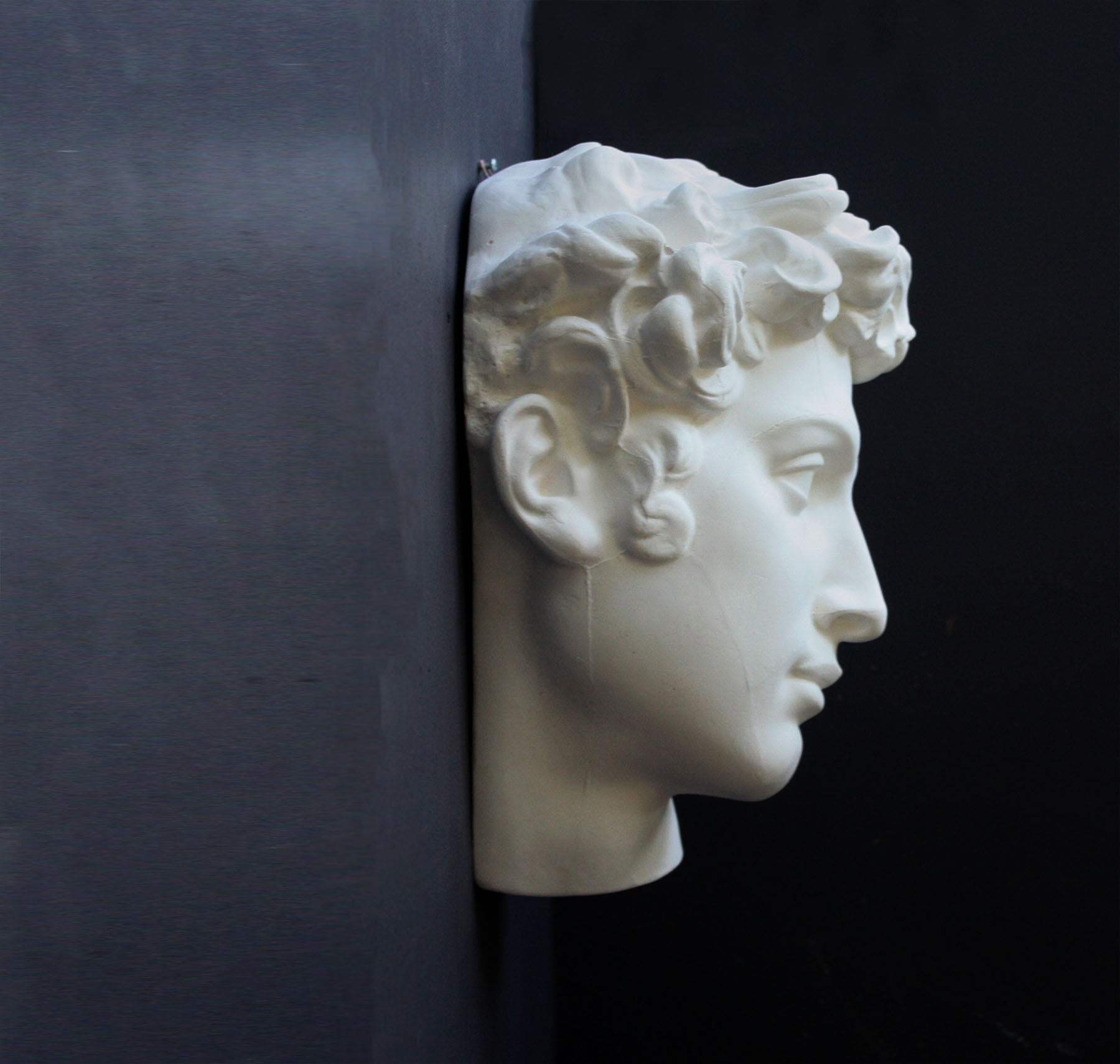 profile photo of white plaster cast mask of  sculpture of head, namely Giuliano de Medici, on a gray background