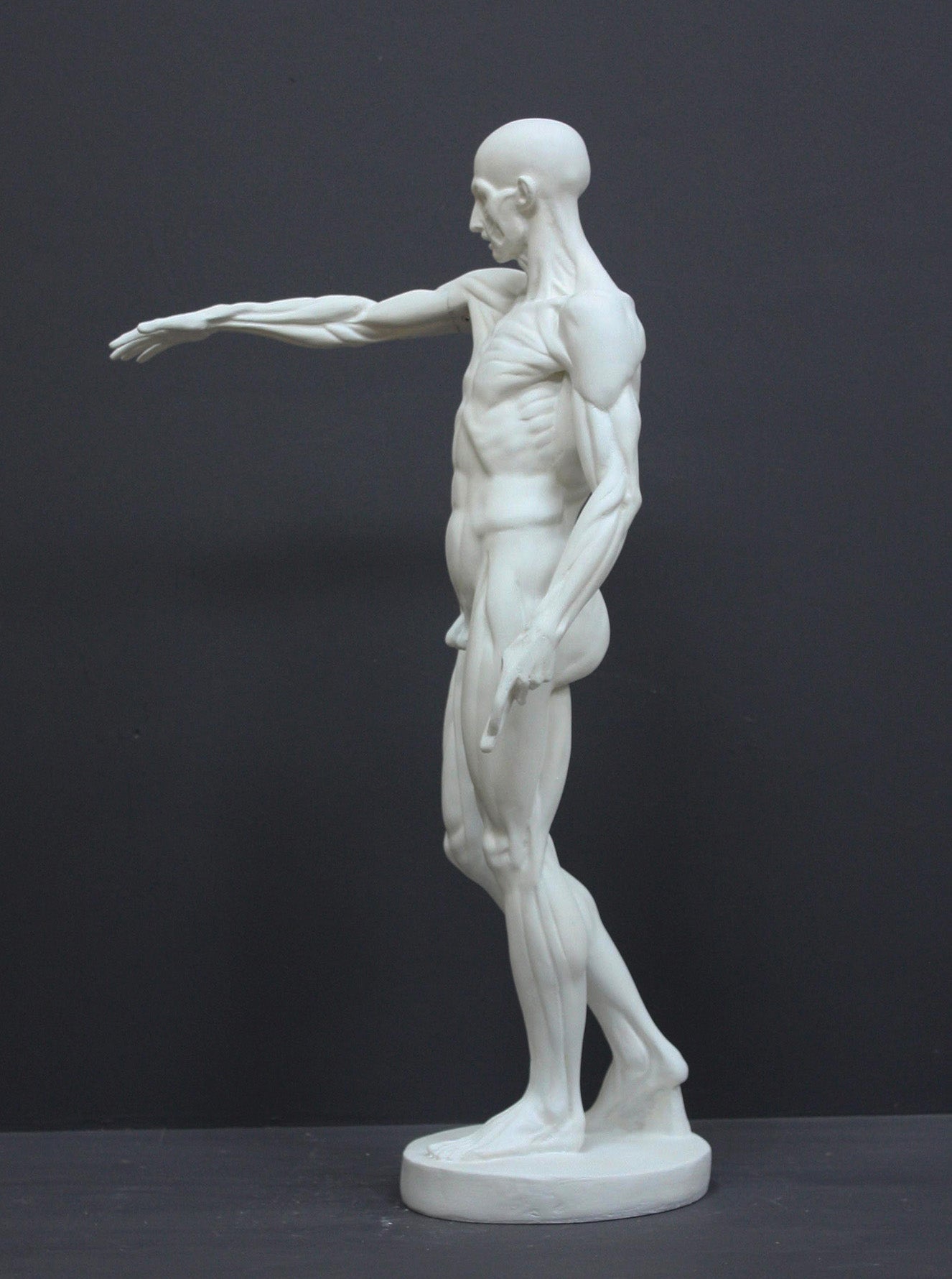 photo of plaster cast sculpture of flayed male figure study with right arm outstretched and left arm down on a gray background