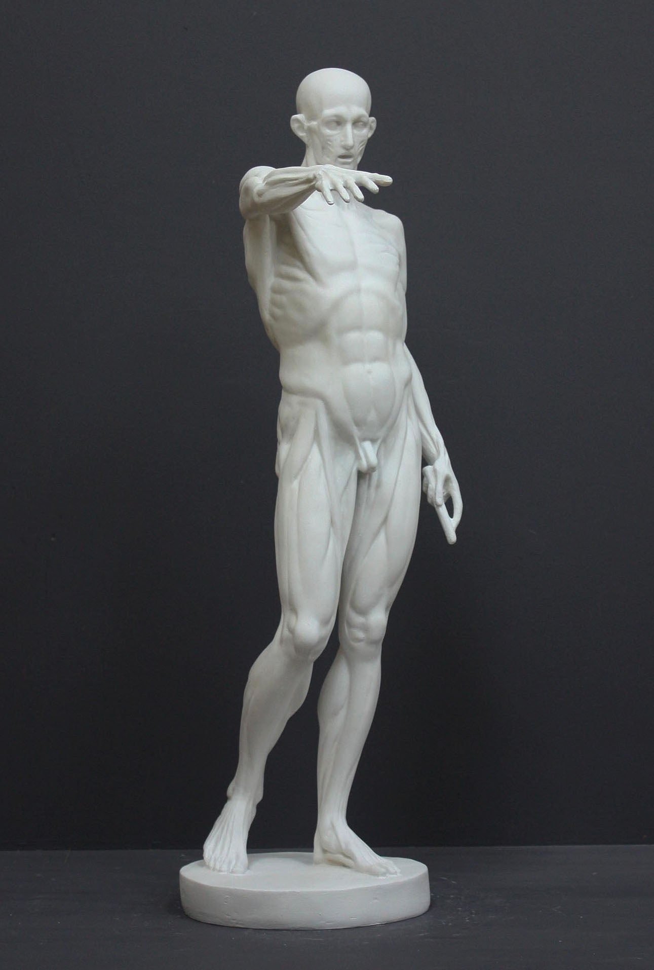 photo of plaster cast sculpture of flayed male figure study with right arm outstretched and left arm down on a gray background