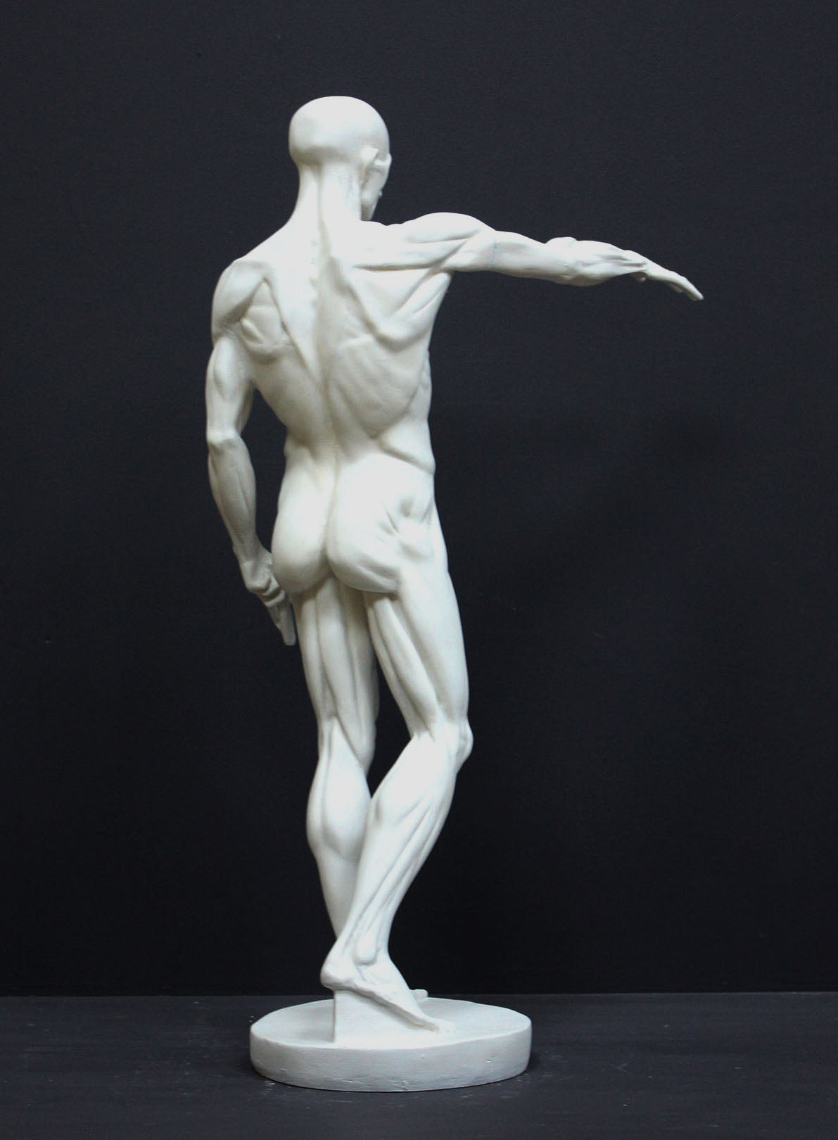 photo of plaster cast sculpture of flayed male figure study with right arm outstretched and left arm down on a gray background