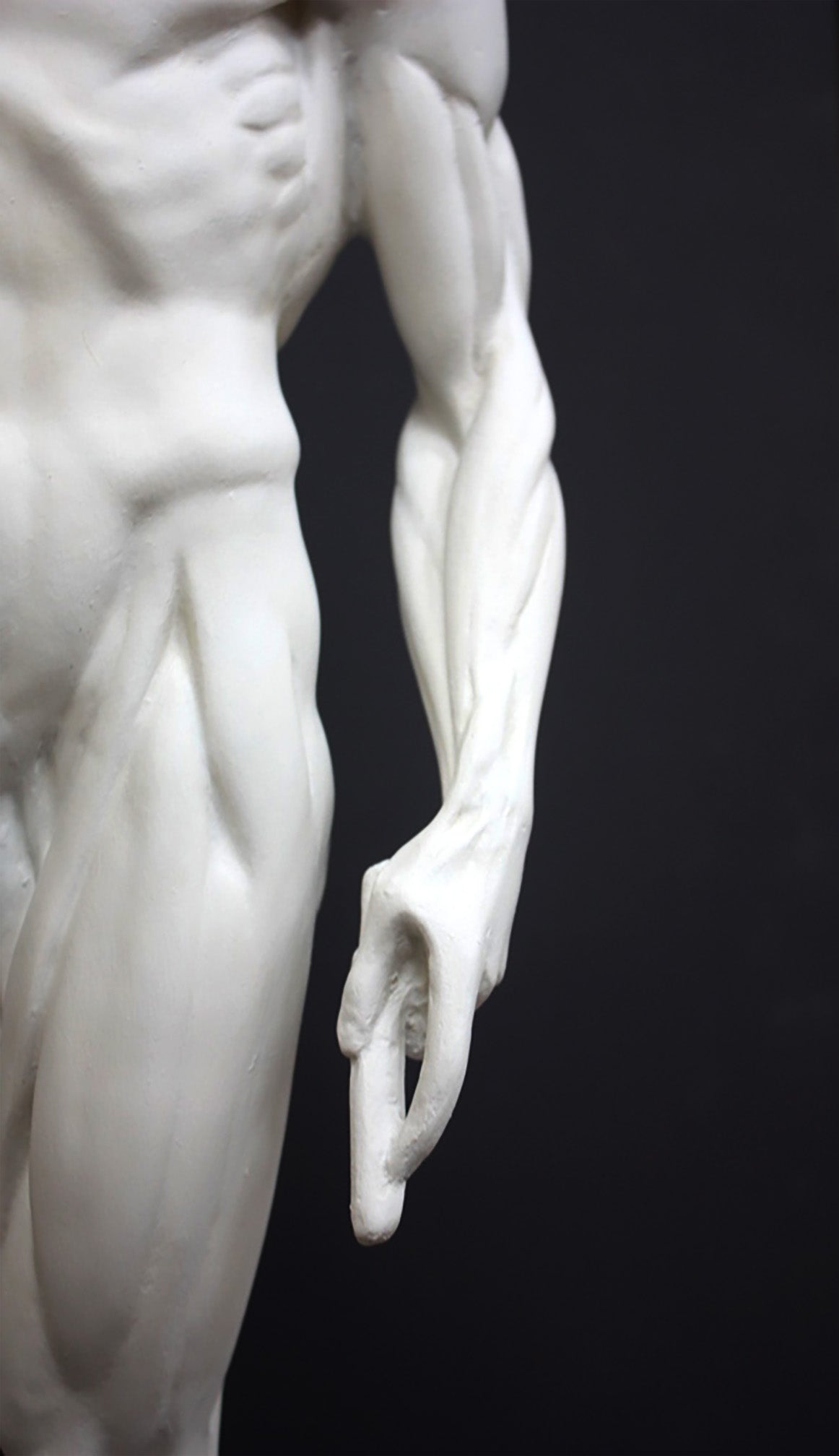 photo of plaster cast sculpture of flayed male figure study with right arm outstretched and left arm down on a gray background