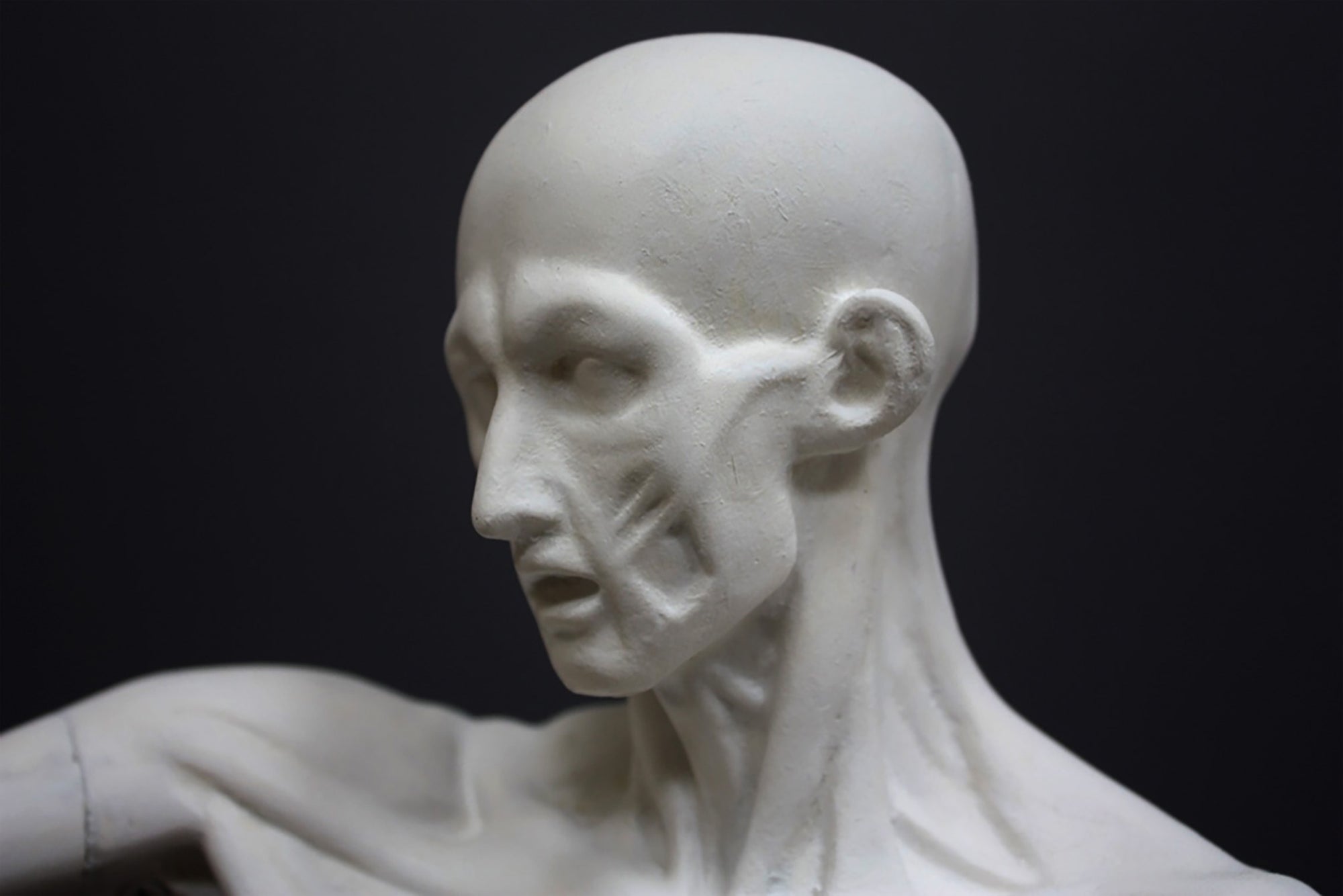 photo of plaster cast sculpture of flayed male figure study with right arm outstretched and left arm down on a gray background