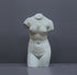 Image of a plaster statue as a bust of venus on a grey background