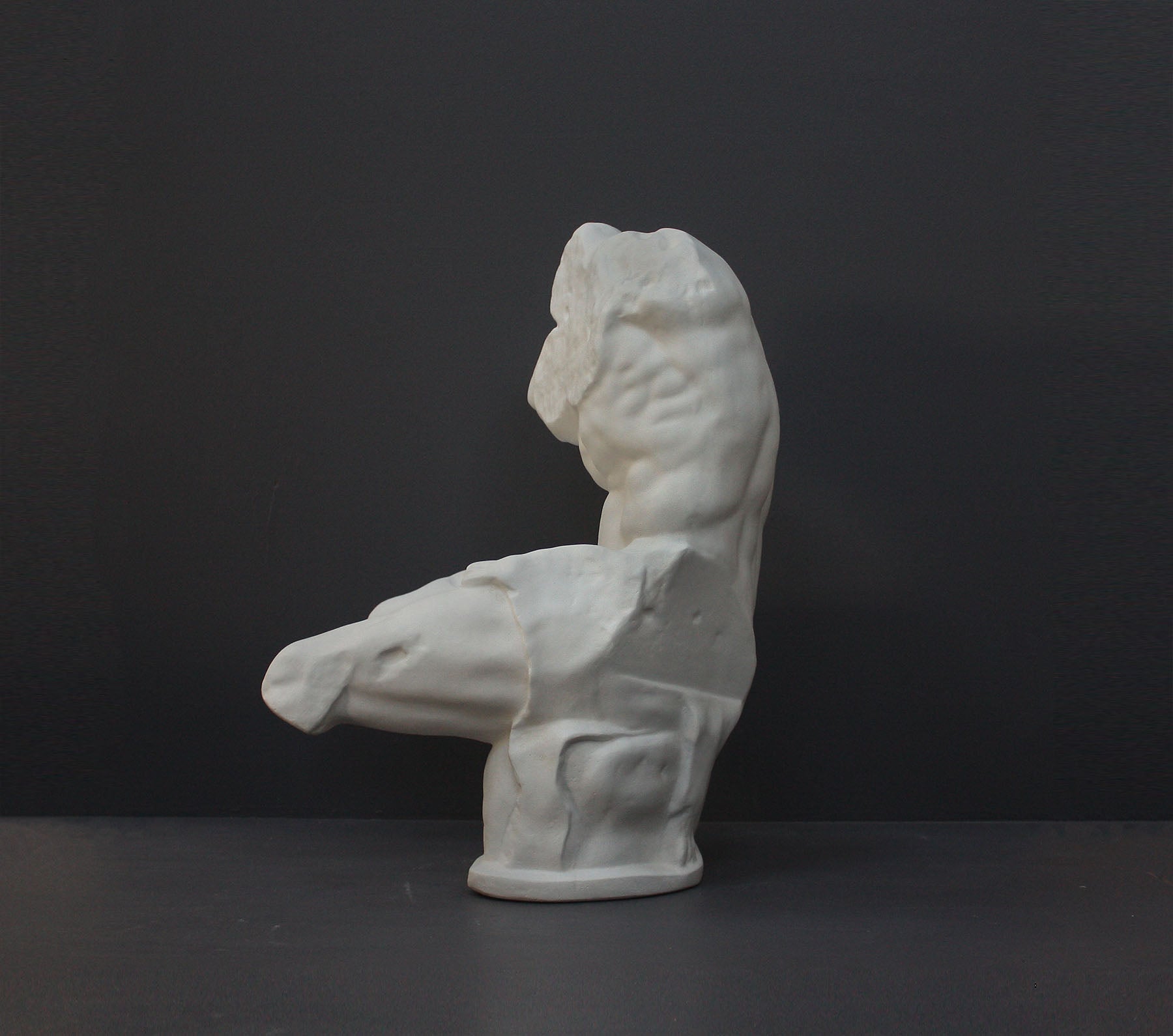 image of a plaster statue of a bust of a belvedere torso on a gray background