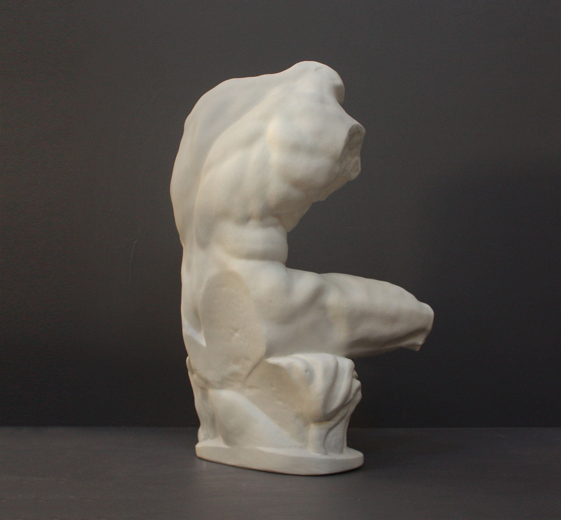 image of a plaster statue of a bust of a belvedere torso on a gray background