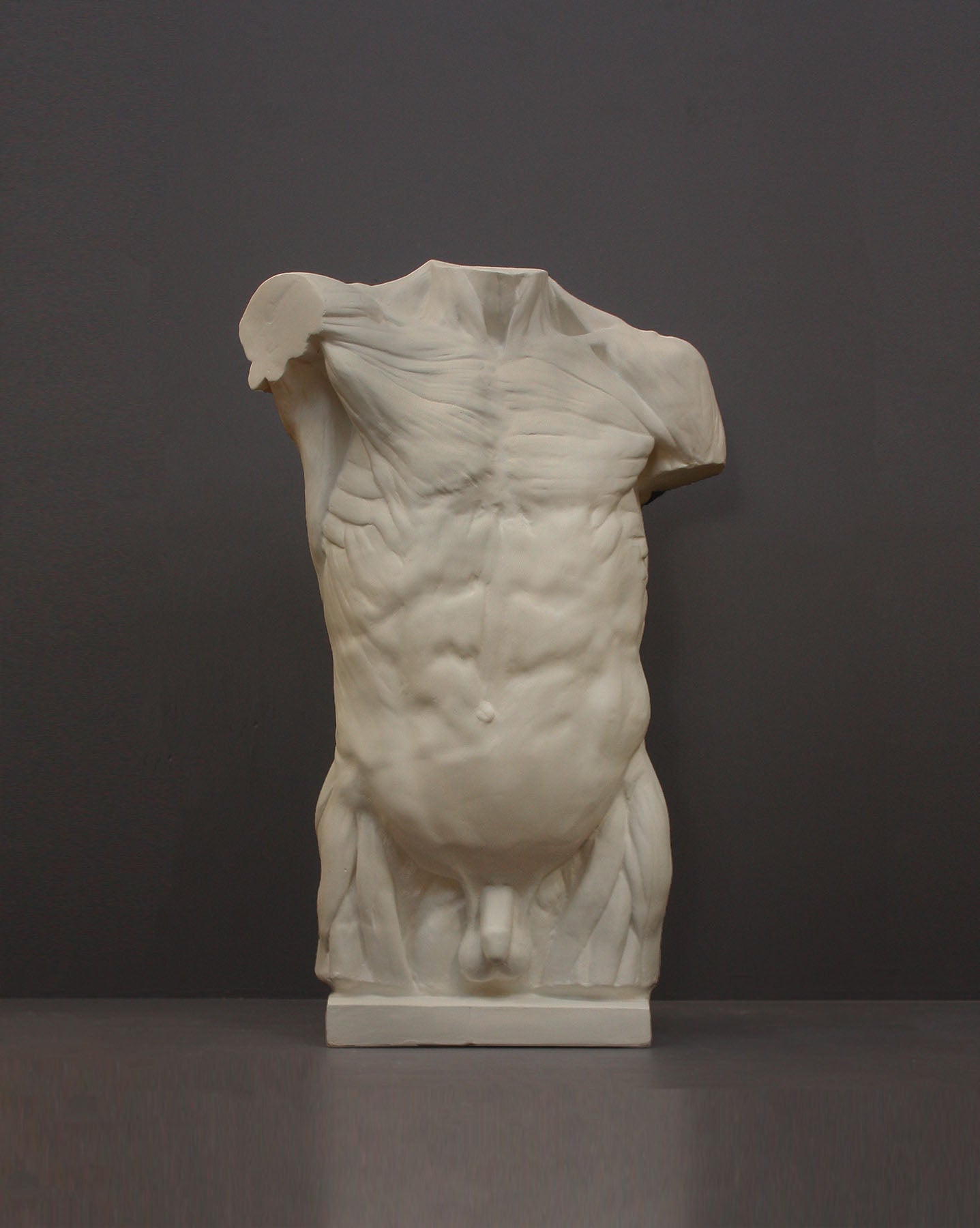 image of a plaster statue of a bust of a anatomical torso on a gray background